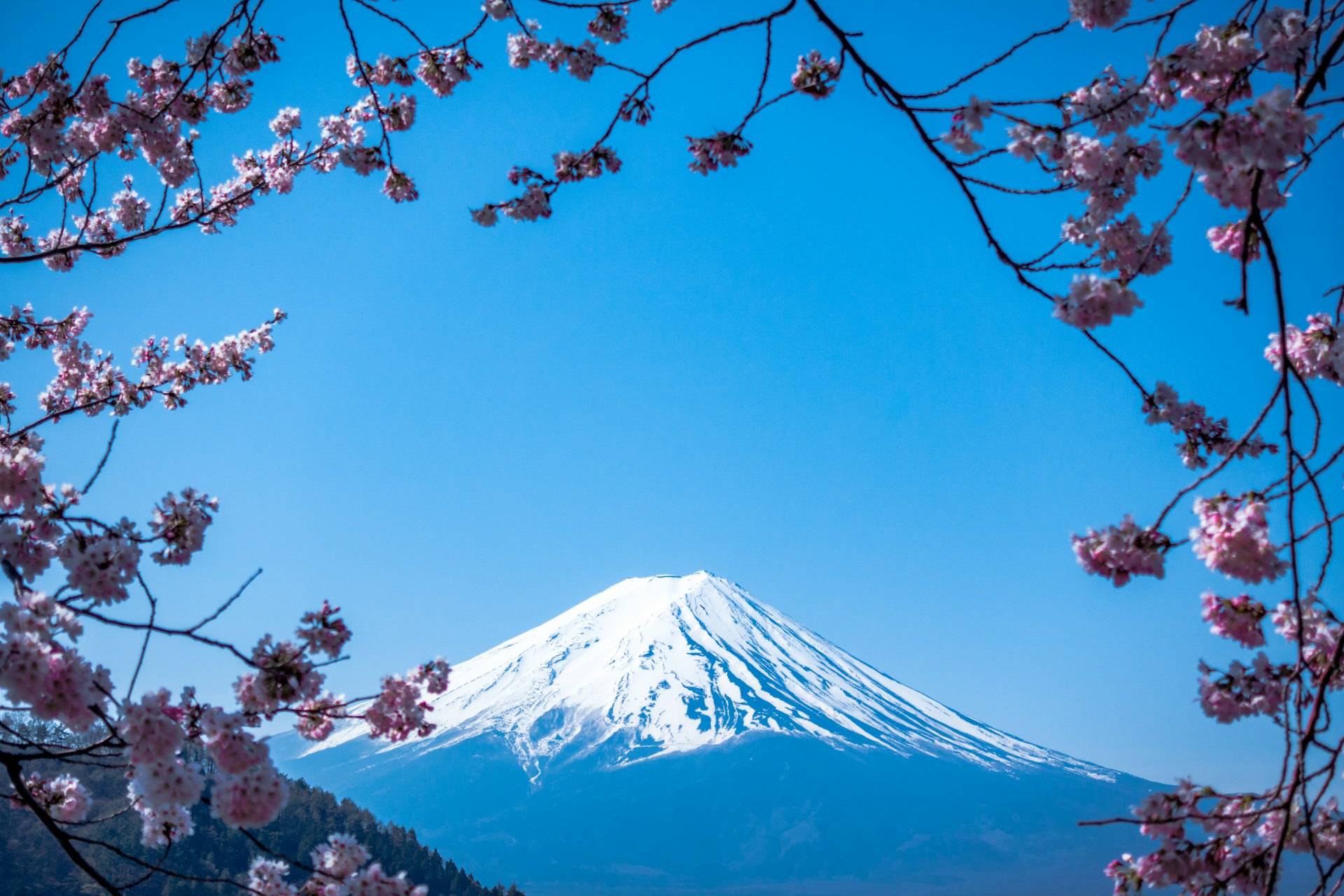 日本